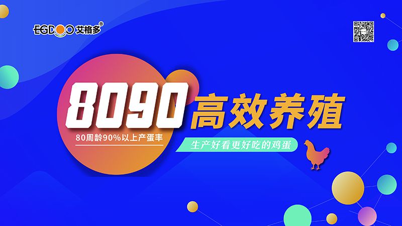 四會連開，艾格多8090高 效養(yǎng)殖700天唐山區(qū)域線下交流會成功舉辦